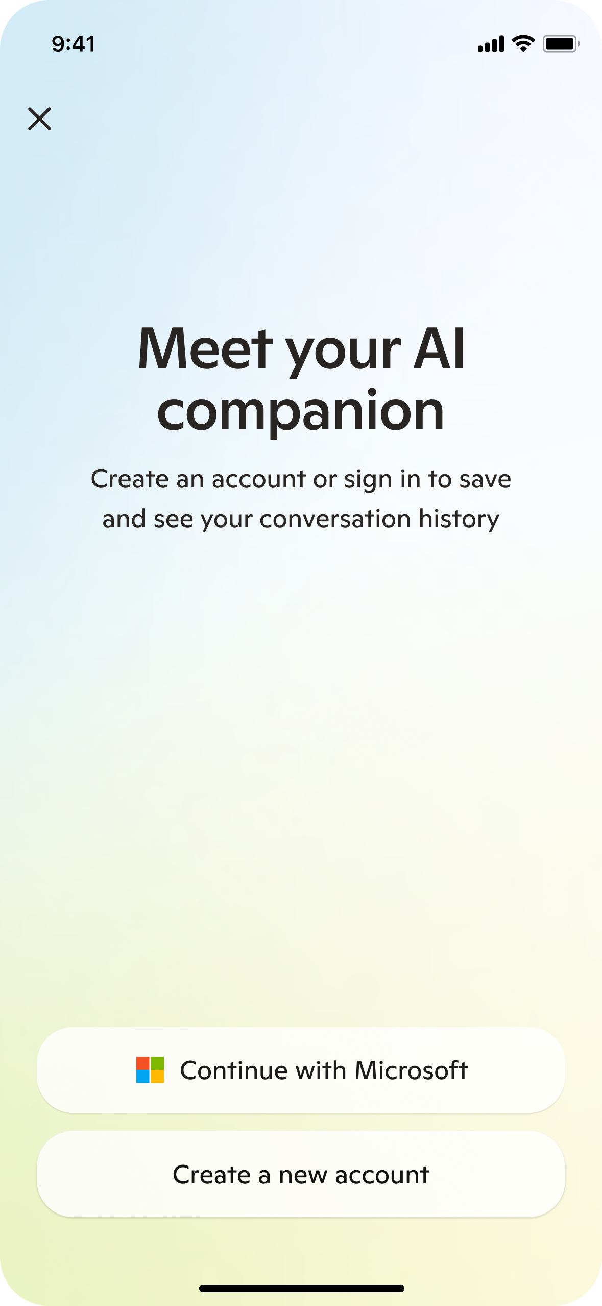 Sign in screen before